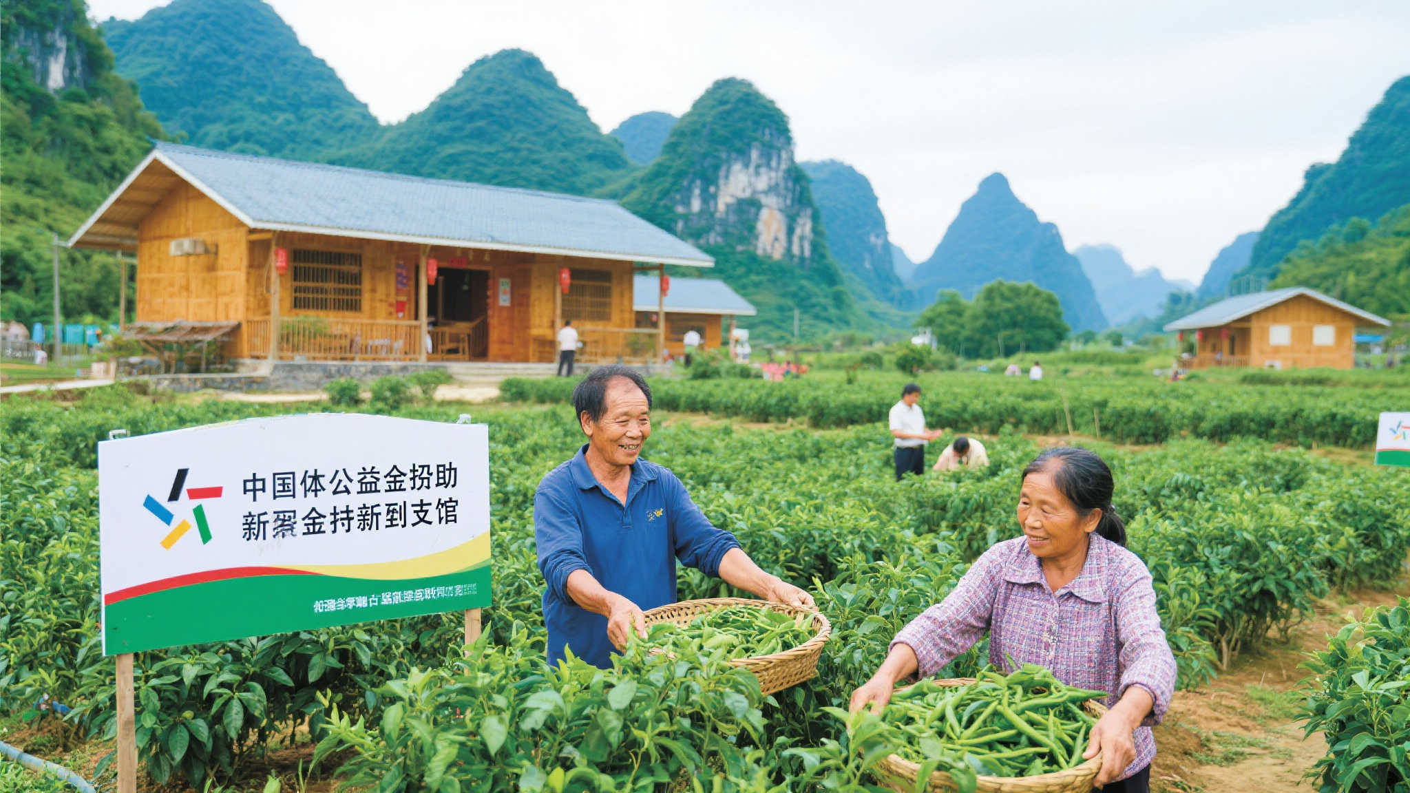 澳洲十开奖平台网页版入口